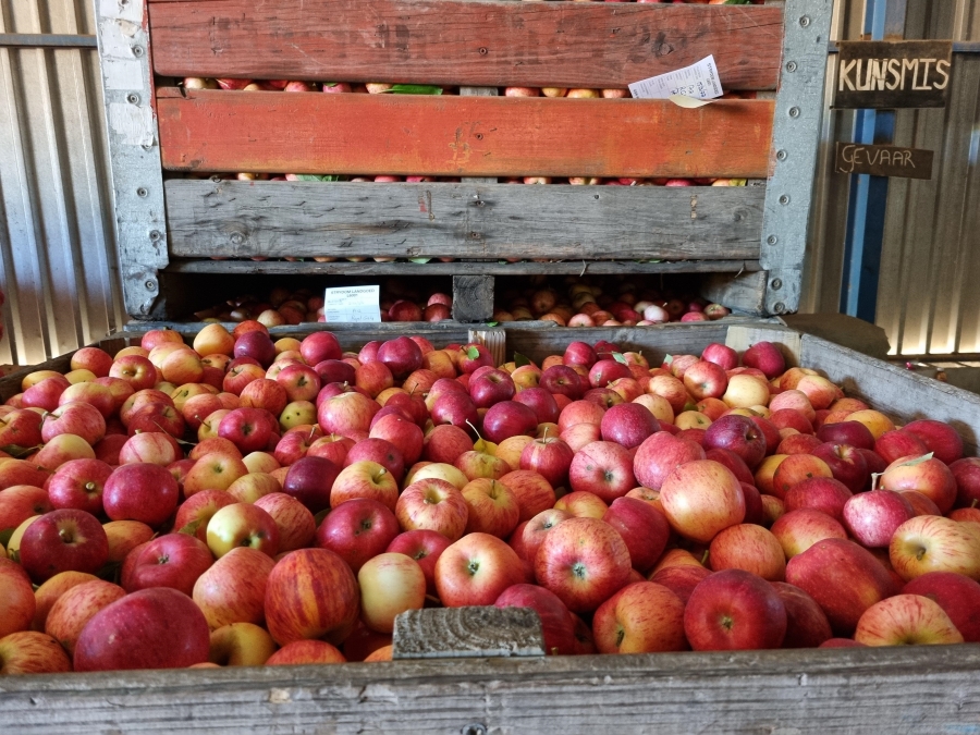 0 Bedroom Property for Sale in Haarlem Western Cape